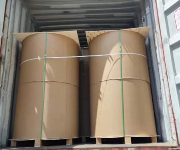 Global Paper Prices Rise in 2024